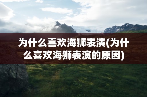 为什么喜欢海狮表演(为什么喜欢海狮表演的原因)