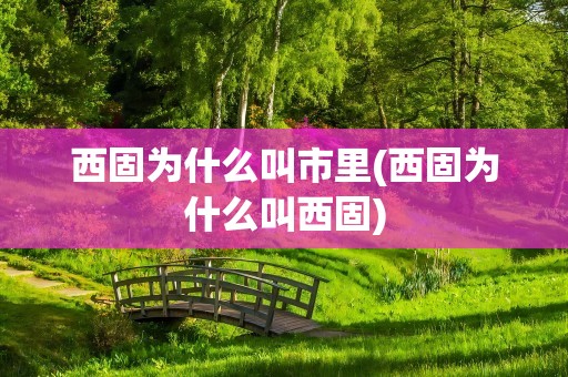 西固为什么叫市里(西固为什么叫西固)