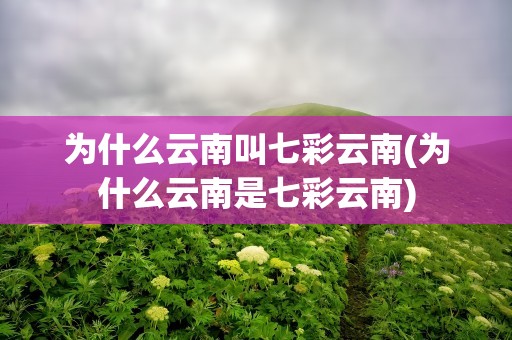 为什么云南叫七彩云南(为什么云南是七彩云南)