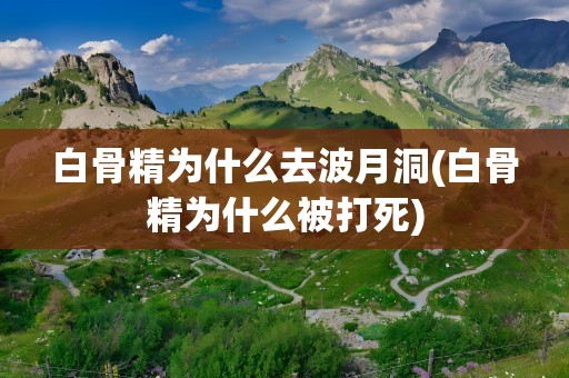 白骨精为什么去波月洞(白骨精为什么被打死)