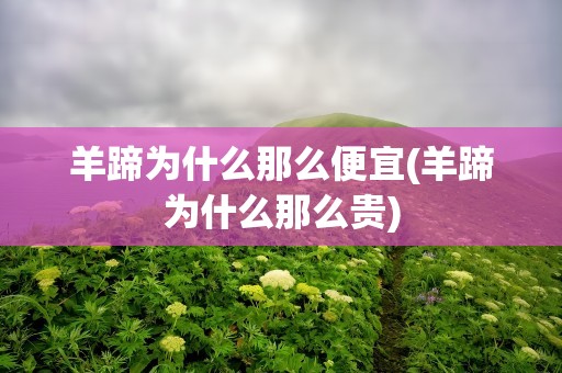 羊蹄为什么那么便宜(羊蹄为什么那么贵)