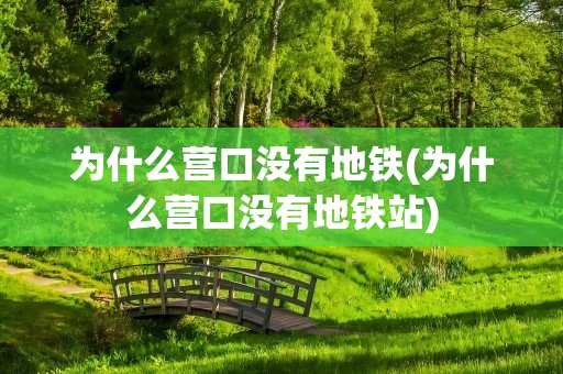 为什么营口没有地铁(为什么营口没有地铁站)