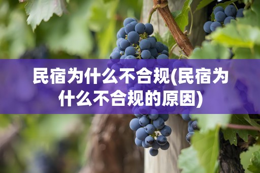 民宿为什么不合规(民宿为什么不合规的原因)