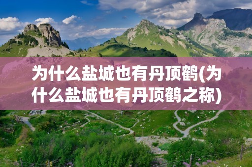 为什么盐城也有丹顶鹤(为什么盐城也有丹顶鹤之称)