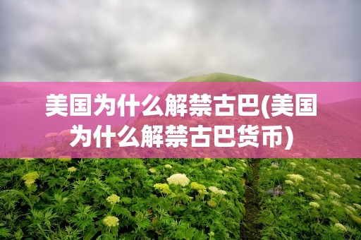 美国为什么解禁古巴(美国为什么解禁古巴货币)