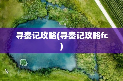 寻秦记攻略(寻秦记攻略fc)