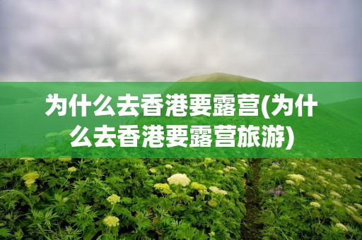 为什么去香港要露营(为什么去香港要露营旅游)