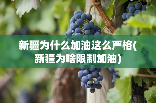 新疆为什么加油这么严格(新疆为啥限制加油)
