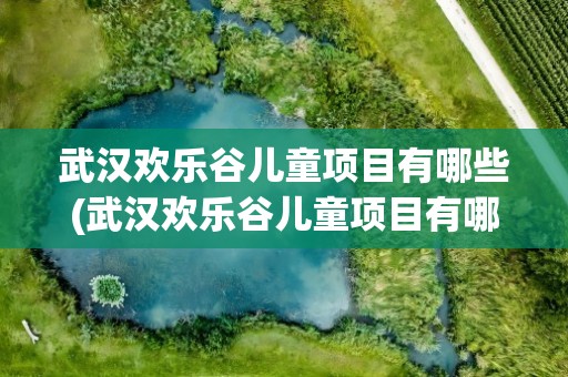 武汉欢乐谷儿童项目有哪些(武汉欢乐谷儿童项目有哪些图片)