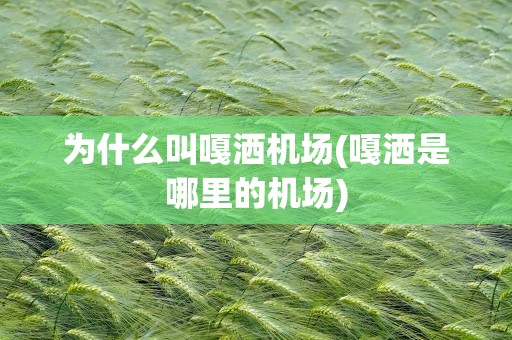 为什么叫嘎洒机场(嘎洒是哪里的机场)