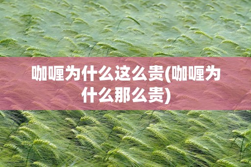 咖喱为什么这么贵(咖喱为什么那么贵)