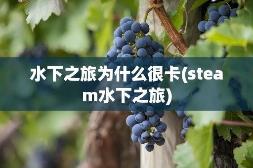 水下之旅为什么很卡(steam水下之旅)