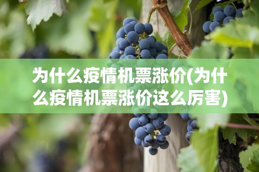 为什么疫情机票涨价(为什么疫情机票涨价这么厉害)