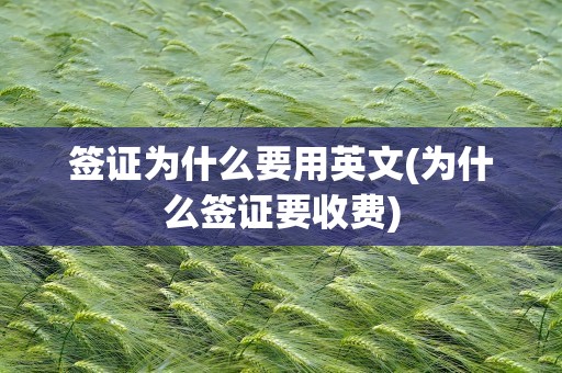 签证为什么要用英文(为什么签证要收费)