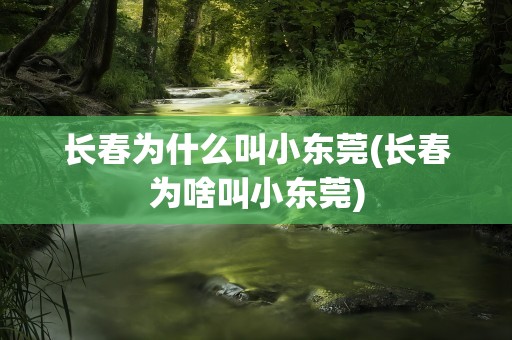 长春为什么叫小东莞(长春为啥叫小东莞)
