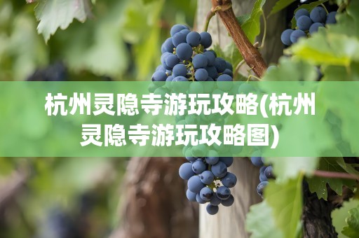 杭州灵隐寺游玩攻略(杭州灵隐寺游玩攻略图)