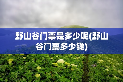 野山谷门票是多少呢(野山谷门票多少钱)