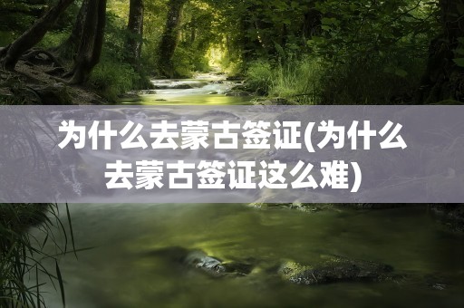 为什么去蒙古签证(为什么去蒙古签证这么难)