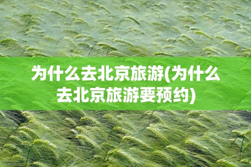 为什么去北京旅游(为什么去北京旅游要预约)