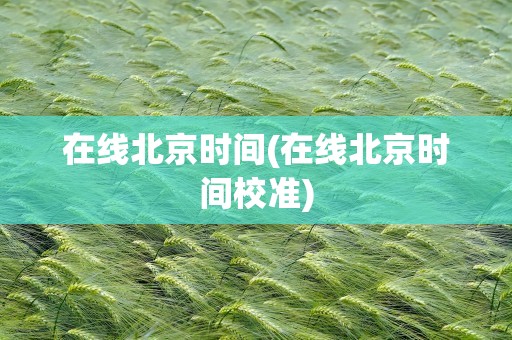 在线北京时间(在线北京时间校准)