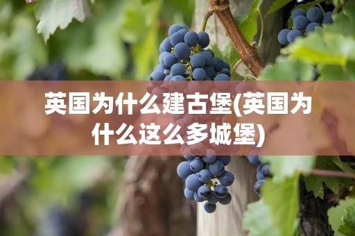 英国为什么建古堡(英国为什么这么多城堡)