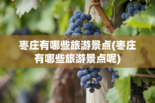枣庄有哪些旅游景点(枣庄有哪些旅游景点呢)
