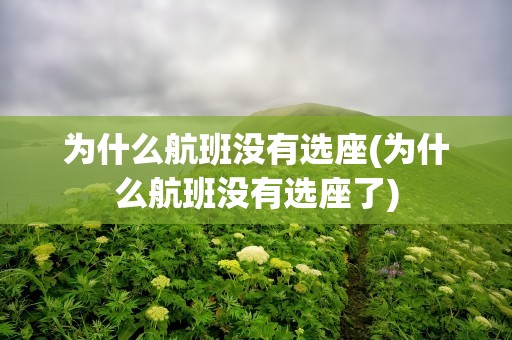 为什么航班没有选座(为什么航班没有选座了)