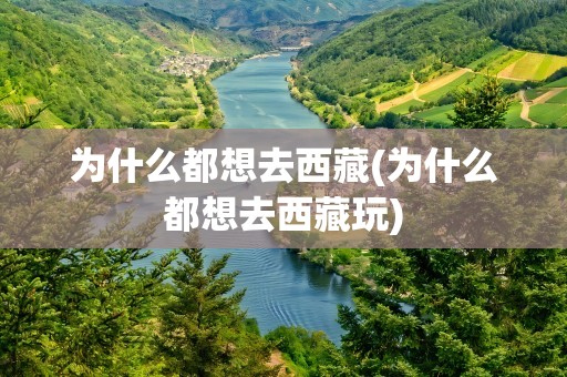 为什么都想去西藏(为什么都想去西藏玩)