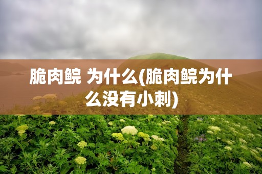 脆肉鲩 为什么(脆肉鲩为什么没有小刺)