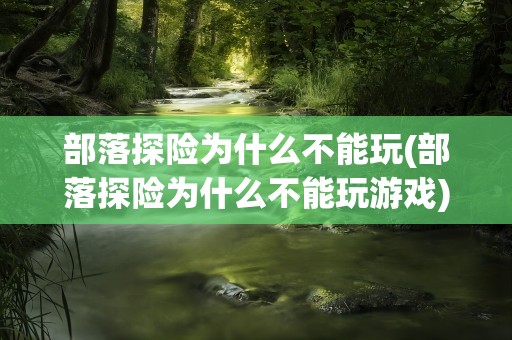 部落探险为什么不能玩(部落探险为什么不能玩游戏)