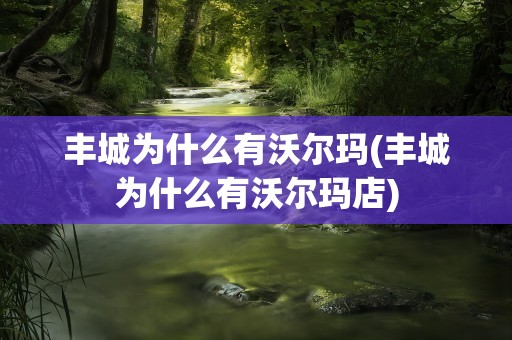 丰城为什么有沃尔玛(丰城为什么有沃尔玛店)