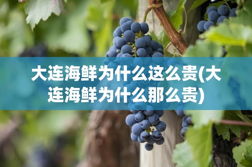 大连海鲜为什么这么贵(大连海鲜为什么那么贵)
