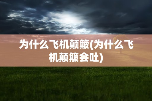 为什么飞机颠簸(为什么飞机颠簸会吐)