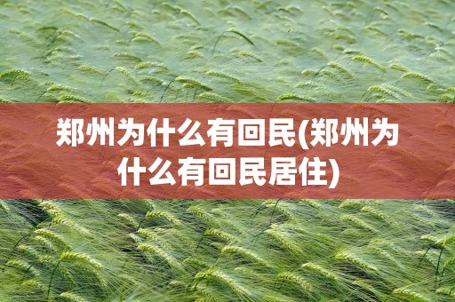 郑州为什么有回民(郑州为什么有回民居住)