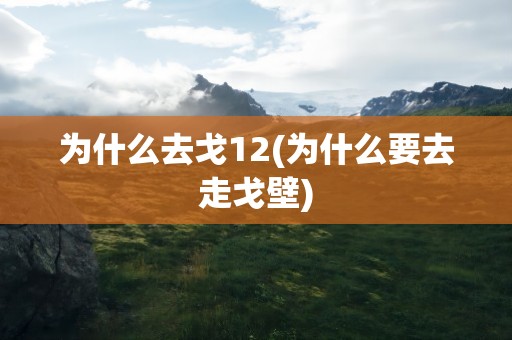 为什么去戈12(为什么要去走戈壁)