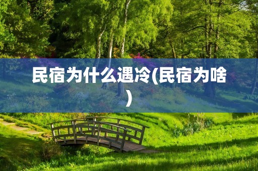 民宿为什么遇冷(民宿为啥)