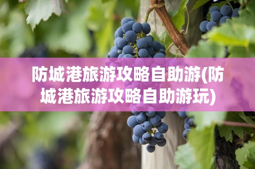 防城港旅游攻略自助游(防城港旅游攻略自助游玩)