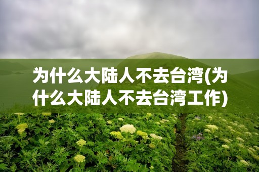 为什么大陆人不去台湾(为什么大陆人不去台湾工作)