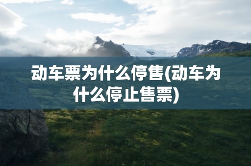 动车票为什么停售(动车为什么停止售票)