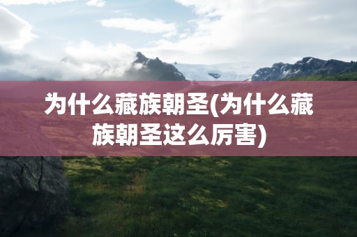为什么藏族朝圣(为什么藏族朝圣这么厉害)