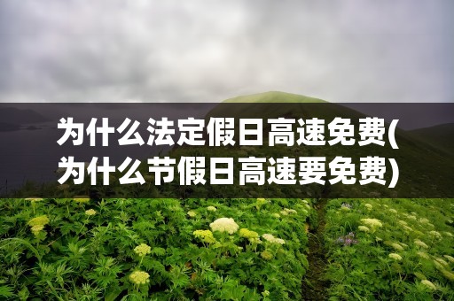为什么法定假日高速免费(为什么节假日高速要免费)