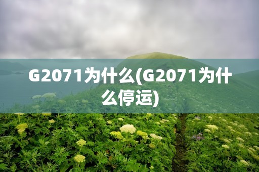 G2071为什么(G2071为什么停运)