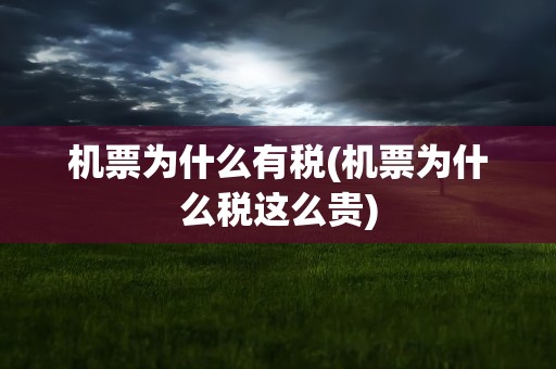机票为什么有税(机票为什么税这么贵)