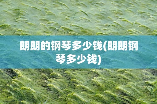 朗朗的钢琴多少钱(朗朗钢琴多少钱)