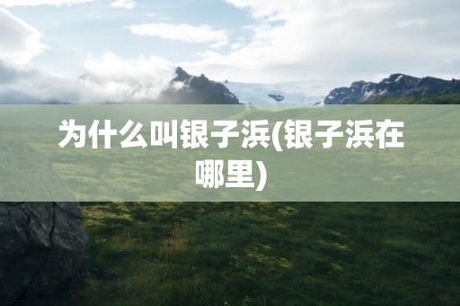 为什么叫银子浜(银子浜在哪里)