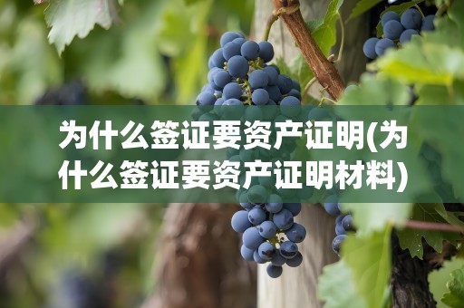 为什么签证要资产证明(为什么签证要资产证明材料)