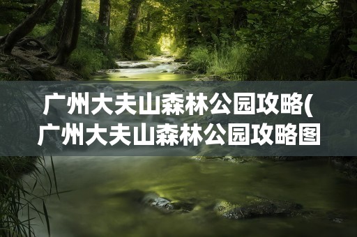 广州大夫山森林公园攻略(广州大夫山森林公园攻略图)