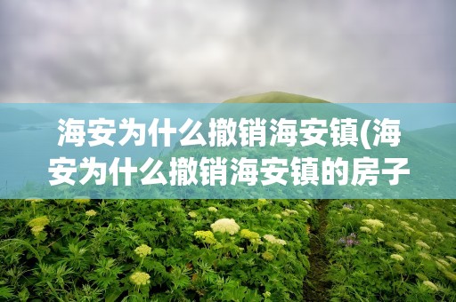 海安为什么撤销海安镇(海安为什么撤销海安镇的房子)
