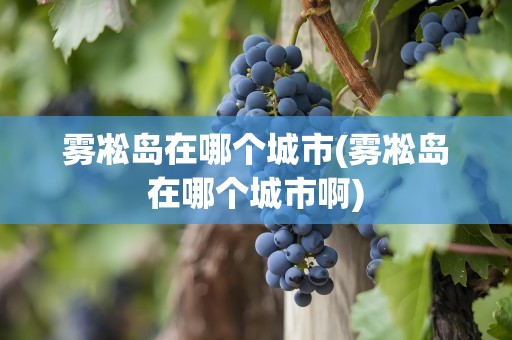 雾凇岛在哪个城市(雾凇岛在哪个城市啊)