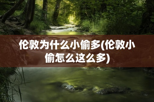 伦敦为什么小偷多(伦敦小偷怎么这么多)